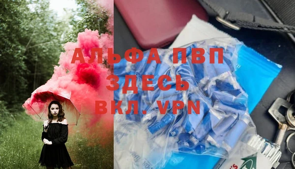 ECSTASY Покров